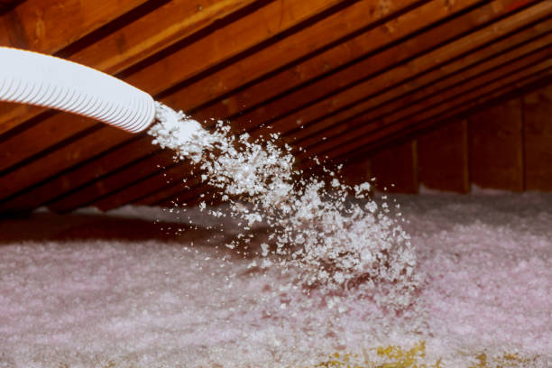 Best Residential Insulation in Violet, LA